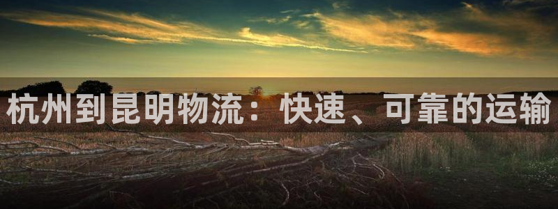 28圈比特28真实吗：杭州到昆明物流