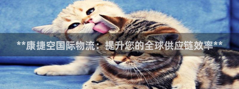 28圈预测