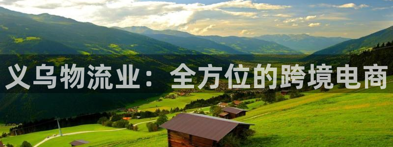 28圈.ccm正版：义乌物流业：全方