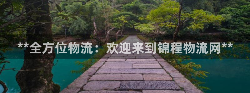 28圈p图上分下款通道：**全方位物