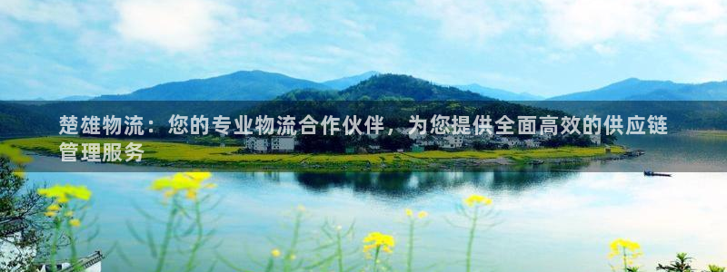 28圈头像：楚雄物流：您的专业物流合