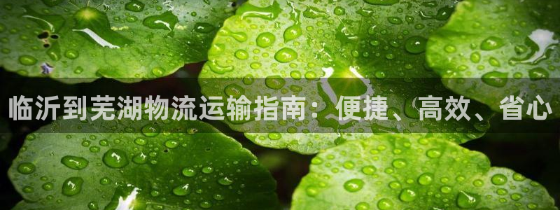 28圈犯法吗