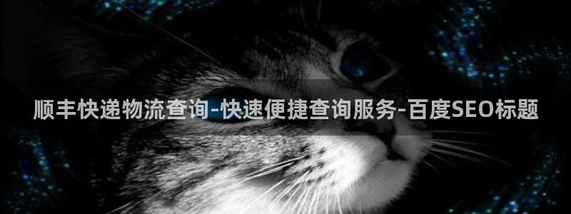 28圈软件总是闪退怎么回事：顺丰快递