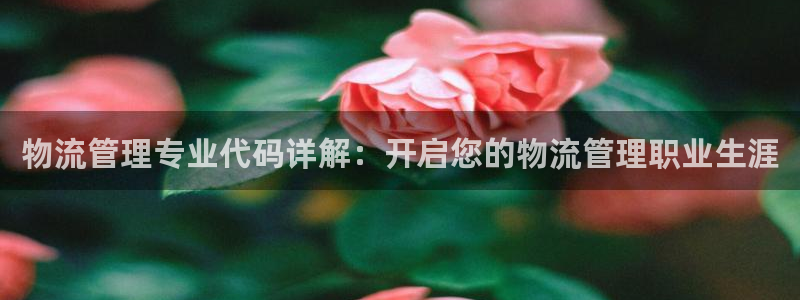 28圈分分28预测：物流管理专业代码