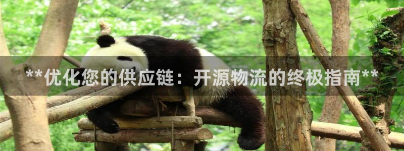 28圈怎么注册账号：**优化您的供应