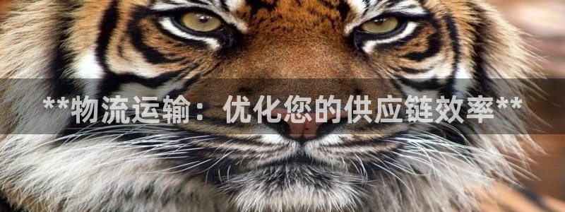 28圈app能退款吗：**物流运输：