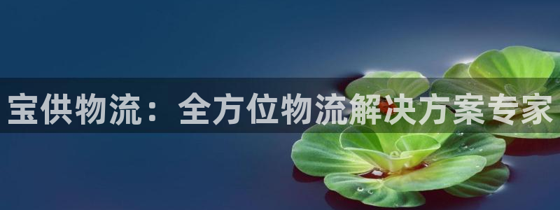28圈推广链接是多少：宝供物流：全方