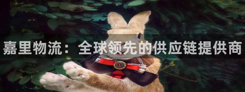 28圈游戏：嘉里物流：全球领先的供应